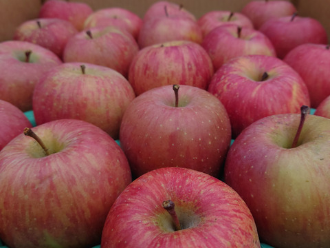 ふじ  5㎏  12-20玉  秋田県産  お得な家庭用