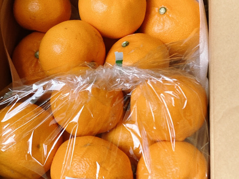 濃厚完熟みかん【はるみ】【せとか】４ｋｇ【柑橘食べ比べ】