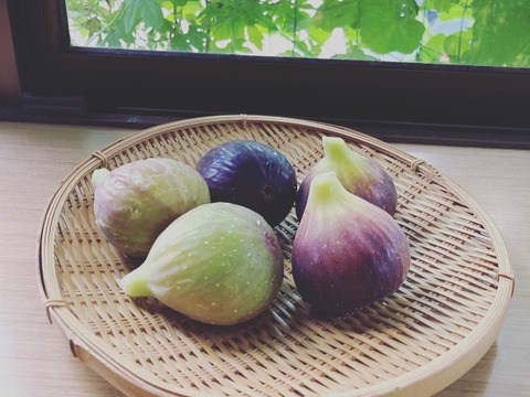 【秋の果物詰め合わせ】農薬不使用いちじく　約300g　農薬不使用黄金シャインマスカット（種あり）約300g