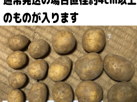 ※お買得【農薬・化学肥料不使用栽培】2024年産　青森県産　小粒(十勝こがね）　5ｋｇ