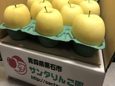 青森りんご　金星(きんせい)　家庭用　5キロ　品種名、見た目と縁起が良く、甘いりんご！