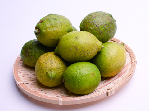 和歌山県産　レモン果汁　150ml×6本