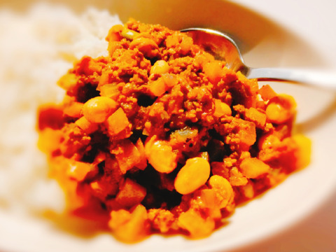 豆と野菜のトマトカレー