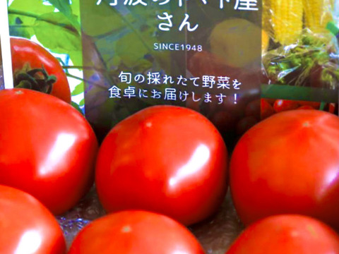 丹波の恵‼️真っ赤なトマト60サイズでお届け！【約2k入❗️】