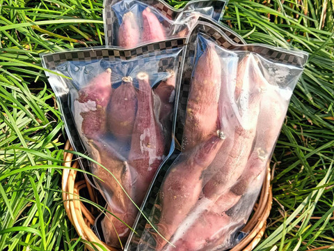 冷凍  一口 焼き芋 250g×12