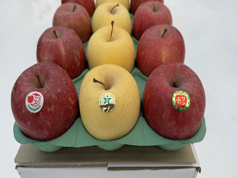 サンふじ＆金星　家庭用　約５キロ　紅白りんごの詰合せ　祝事やお正月に