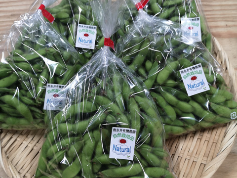 《自然栽培》枝豆　品種栄錦　1kg（250g×4）
