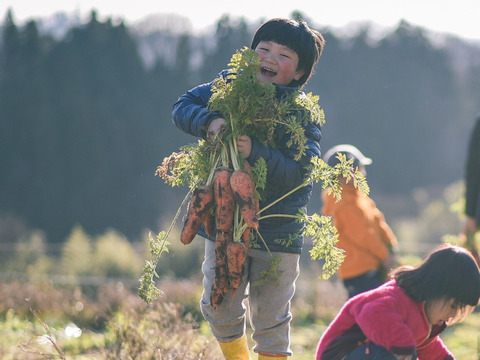 【父の日ギフト】まあるくはじけるポップコーン付き☆信州四賀より里山の旬野菜セット【mini　6品目】