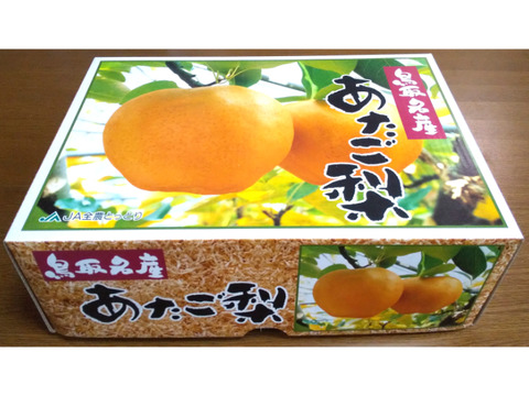 【冬ギフト】化粧箱入り！鳥取県産 あたご梨 約5kg