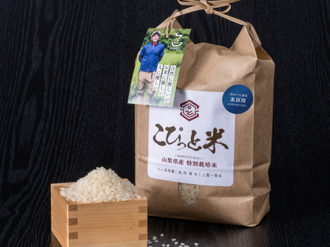 冷めても美味しい！【五百川】白米・2kg　特別栽培米　こぴっと米