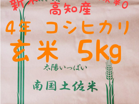 令和4年産 高知県産 新米コシヒカリ 玄米5㎏(袋込み)