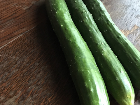 【自然栽培】固定種 ときわ地這胡瓜 2kg★農薬・肥料不使用｜きゅうり｜キュウリ