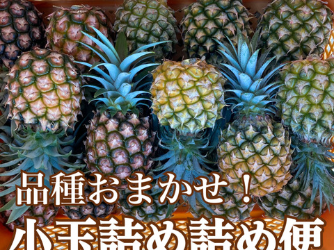 品種おまかせ！小玉詰め詰め便【中箱約3.5キロ】6〜8玉前後 石垣島パイン　石垣島パイナップル／ピーチパインまたはポコットパイン（スナックパイン）または品種ミックスでお届け
