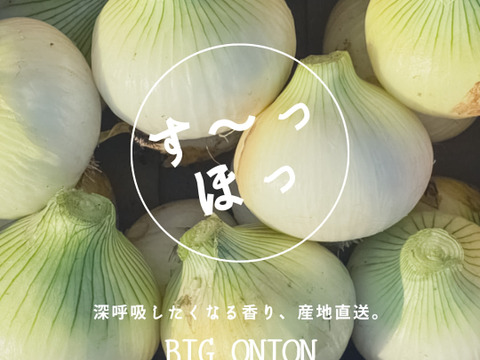 甘さが自慢！淡路島の名産『淡路島タマネギ』１０㎏