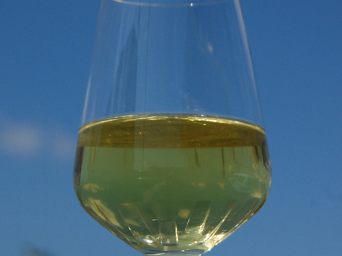 【初回１セット限定】旨味豊富！一番茶だけを使ったペットボトル緑茶２本セット