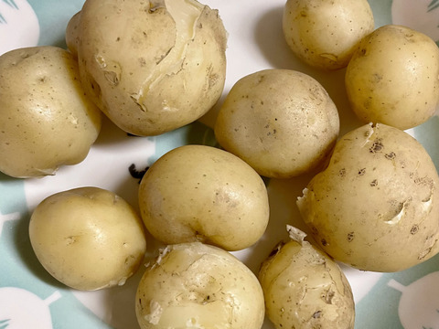 おすすめ人気ランキング2024年 新じゃがいも男爵1.5kg 農薬・化学肥料不使用：埼玉県産の男爵 野菜