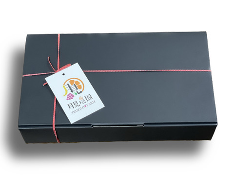 クイーンニーナ【赤葡萄】　18粒入り