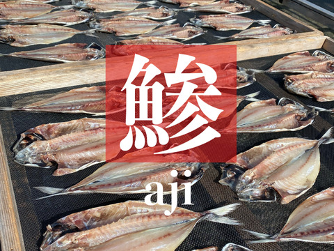 伝統の天日干し製法！ヤマイチの開き【３種】サバ、アジ、イワシ