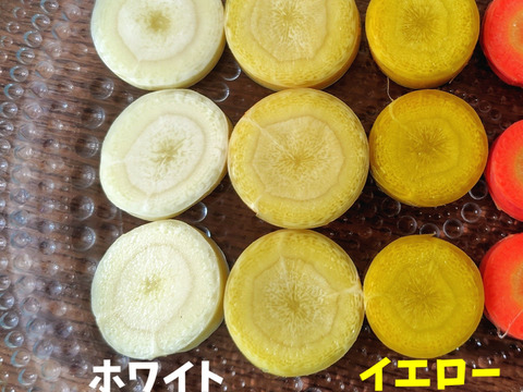 【3色】カラフルにんじん700g(5-7本程度)【葉なし・土付き】