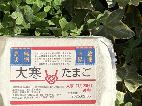 ✨‼️無病息災金運上昇‼️✨大寒卵(宮たま白)×36個