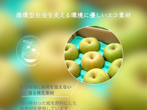 【豊水】3kg あふれる果汁＊濃厚ジューシ〜＊太陽の恵みいっぱい＊無袋栽培＊庄内甘熟梨【夏ギフト】【ご贈答品】7~10玉　9月上旬頃〜発送