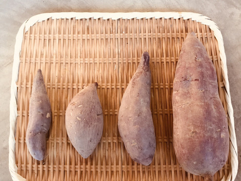 【自然栽培】4.5kgさつま芋甘ーいシルクスイート