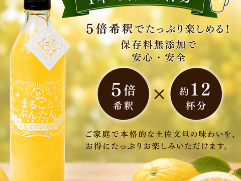 モンドセレクション金賞受賞 土佐文旦8玉分使用 土佐文旦シロップ 360ml