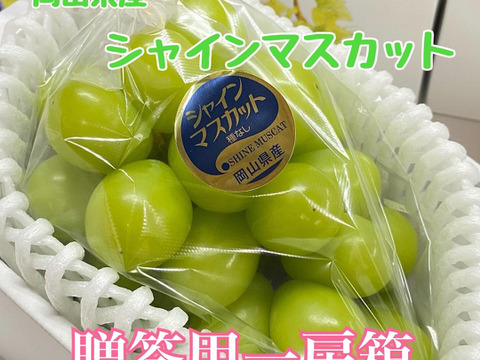贈答用　シャインマスカット シャインマスカット 贈答用の通販｜食べチョク｜産地直送(産直