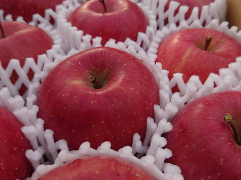 食味重視！「ふじ」3kg　秋田県産