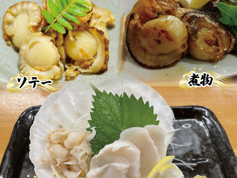 【活】特Lサイズ殻付ホタテ20枚（殻長12cm以上）｜岩手県三陸産