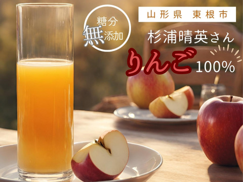 《自家用・限定20箱》山形県東根市産 ふじ100% りんごジュース（ストレート）1,000mL×2本