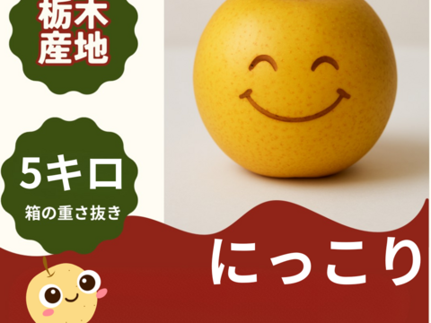 栃木県が誇るにっこり栃木産　5キロ(10-11個)