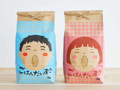 山形県産　はえぬき　玄米　4kg