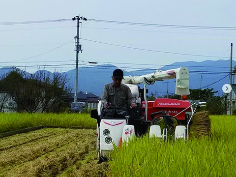 2025年 新米！ 愛媛県産 コシヒカリ  5kg　5,250円