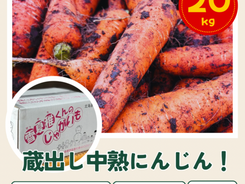 蔵出しのご褒美※十勝浦幌産の雪の中の中熟にんじん20kg：北海道産の