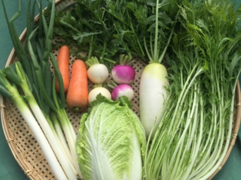 [なゆた農場]冬野菜たっぷり鍋野菜セットMサイズ（8袋分）