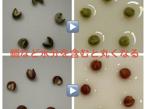 残りわずか！早生収穫 乾燥実山椒 "Sansyo Jade" 希少品. 
ミル容器入り1本と詰替1個のセット！