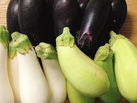 トロ～リ　トロトロ＊3色ナス！猛暑よさらば！～農薬/化学肥料・不使用