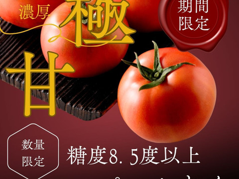 【糖度8.5度以上】極甘スーパーかれん1ｋｇ