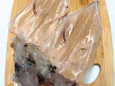 朝絞め!甘みと品があるヤリイカ 2kg 玄界灘 一本釣り