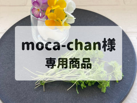 moca-chan様　専用商品