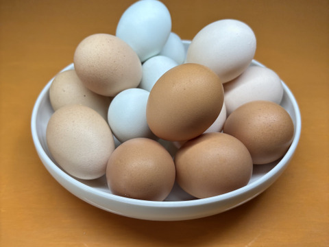 【大寒卵】スペシャル5種食べくらべパック20個セット