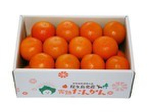 【本日特価】 数量限定・屋久島からの贈りもの】厳選されたたんかん！ 屋久島産 贈答用たんかん 5kg 3Lサイズ  24個入り：鹿児島県産のみかん・柑橘類｜食べチョク｜産地直送(産直)お取り寄せ通販 - 農家・漁師から旬の食材を直送 ソフトドリンク