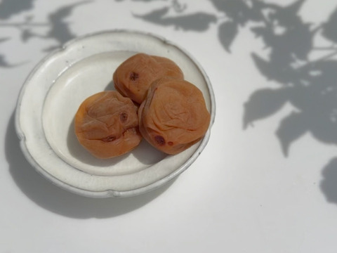 【訳あり（雹被害）】自然栽培 紀州南高梅｜ひとみずの梅干し 500g｜無添加・無肥料・農薬不使用｜見た目にキズあり／味・品質そのまま｜ご家庭用