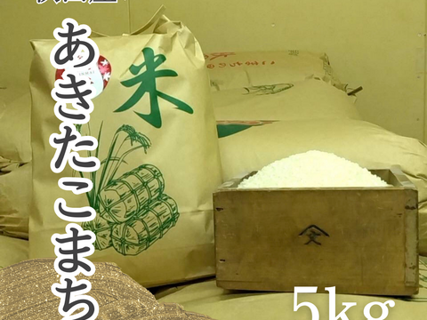 【新米】秋田産　令和6年度産あきたこまち　白米5kg