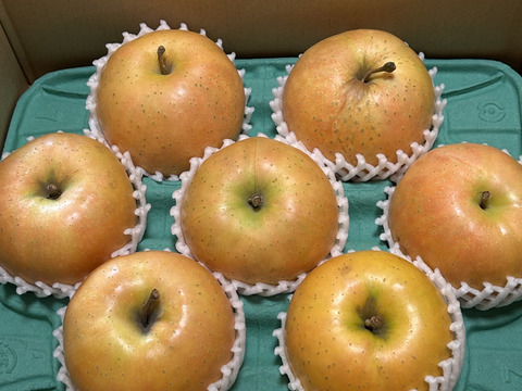 終わります🍎👋【幻の林檎】NEWすっぱい系！ なかののきらめき 3キロ箱 6玉〜15玉サイズ ID173708 長野県 信州 安曇野 リンゴ 幻 幻のリンゴ 予約 希少 旬