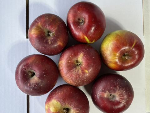 りんごおためし3種セット （B品2㎏）