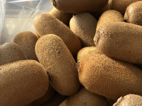 まつどの長〜〜い形のキウイフルーツ　甘くて香りの高い品種「香緑」果肉はグリーン　約25個から30個入り　固い状態で届くので年初までゆっくり食べられます。追熟剤入り。