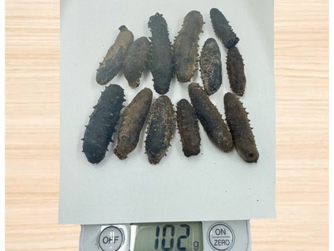 乾燥ナマコ 100g 訳あり品：徳島県産のその他水産物｜食べチョク｜産地