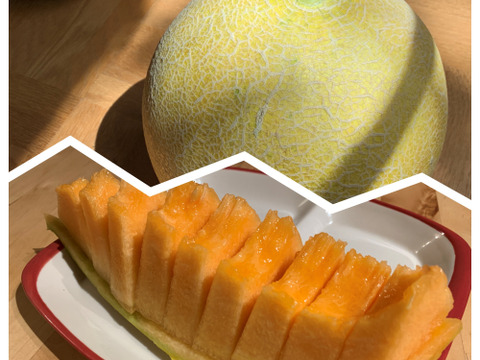 【自然栽培】固定種 赤肉カンタロープメロン 4kg以上★農薬・肥料不使用｜甘さ控えめ